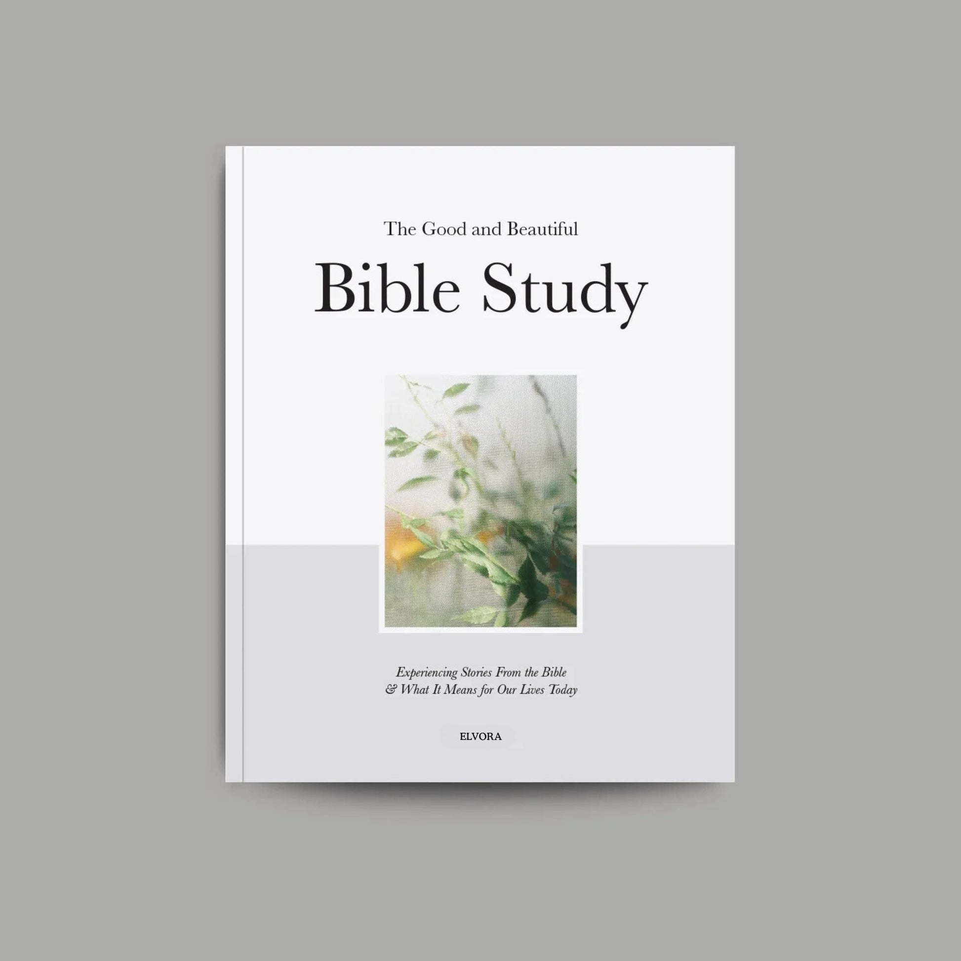 The Good and Beautiful Bible - Volume 1